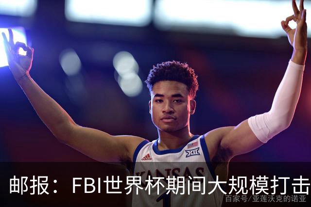 邮报：FBI世界杯期间大规模打击无人机活动，一名非法移民被捕